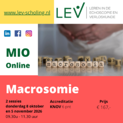 MIO Macrosomie | donderdag 8 oktober & donderdag 5 november, 9:30-11:30 uur - online